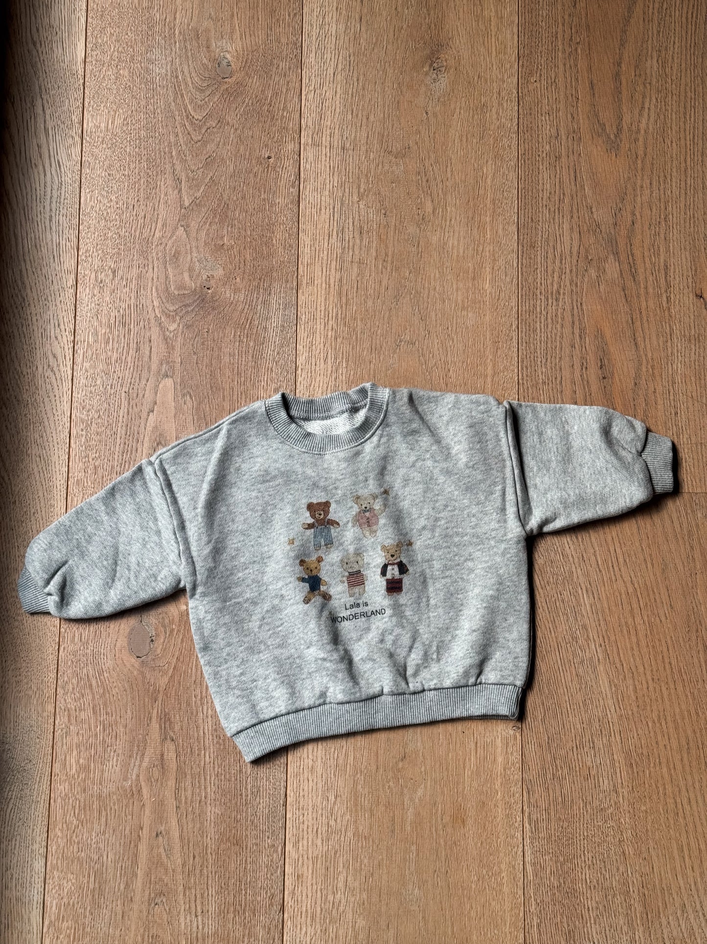 Bear Sweatshirts