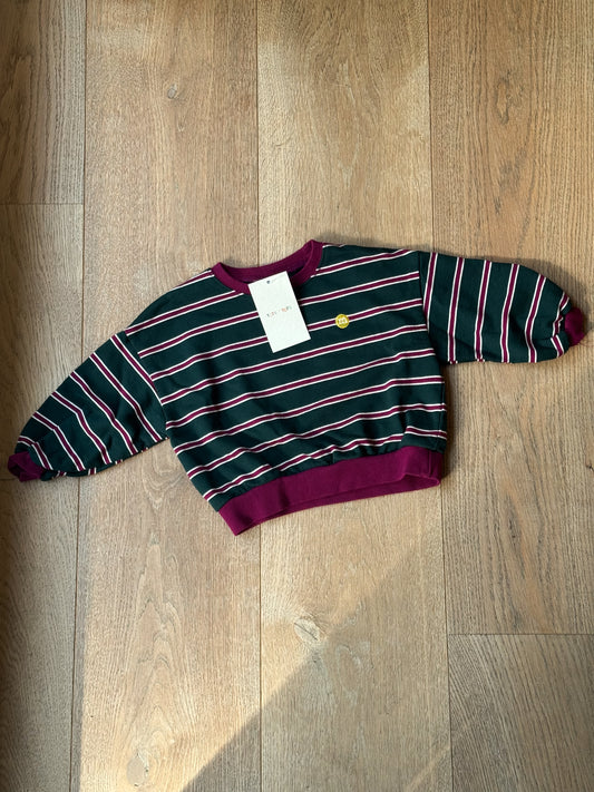 Green Stripe Sweatshirt