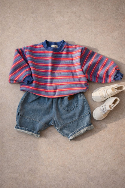 Color Stripe Sweatshirt