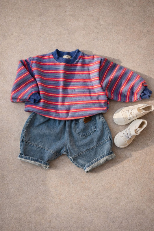 Color Stripe Sweatshirt